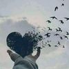 user028268691