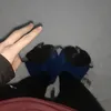 sebiiitaaaaaa
