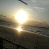 _.mimi_43
