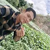 thanhmo696