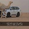 فيصل
