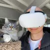 lunchandvr