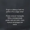 gratidao587