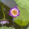 phuong_05.03