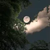 dylt2hyzovgy