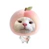 wanita__mingyu