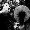 punpun