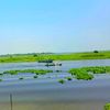 sabiqunnaharjumur