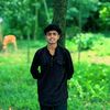 mhmonir35