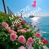 shimulh561
