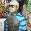 khorshedalam2661