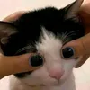 lalinurluv