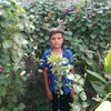 user444305125183