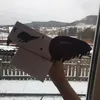 dragon_yay0