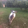 depzai2787