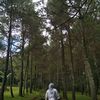 silvilstr08
