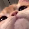 imanarwahh