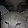 cucuvbo