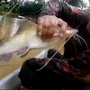 fiAn fishing