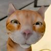 saha_we6297