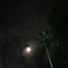 kimthhv3012