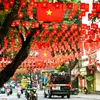 tinhlang498