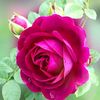sathiaktar6392639