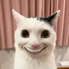 deadcat1337