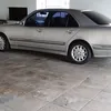 chicodutra593