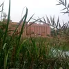 arfinislamsuvro