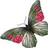 sue_em_mooti