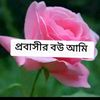 meghlaakas54