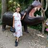 shwesin.1
