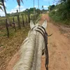 maria.cristiane658