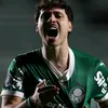 guizinsepzx