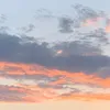 maru___0330