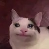 aike_ika