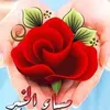 user4615134939195