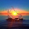 mourad.guerfi5