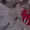 il_xhoz