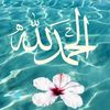 heshmat912