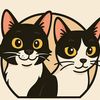 gatitasdivertidas