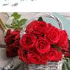 suadalsabbagh