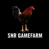 snrgamefarm2