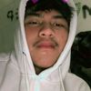 masss_fii