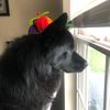 oliverkylo