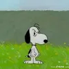 cgizcos