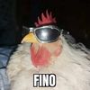 pltano_77
