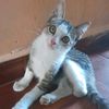 teresita7072