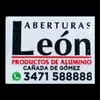 tatileon_311